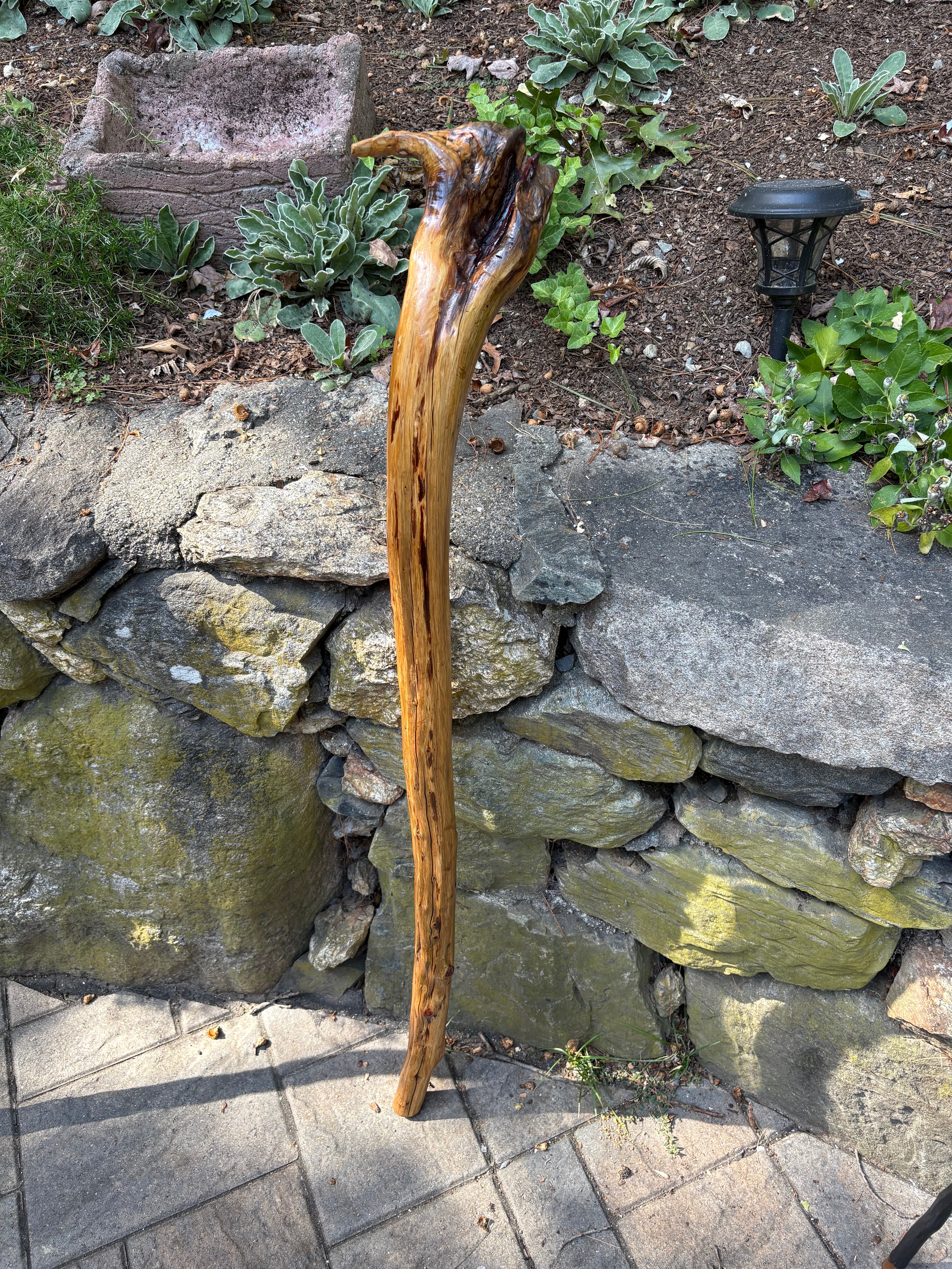 The Thumper walking stick