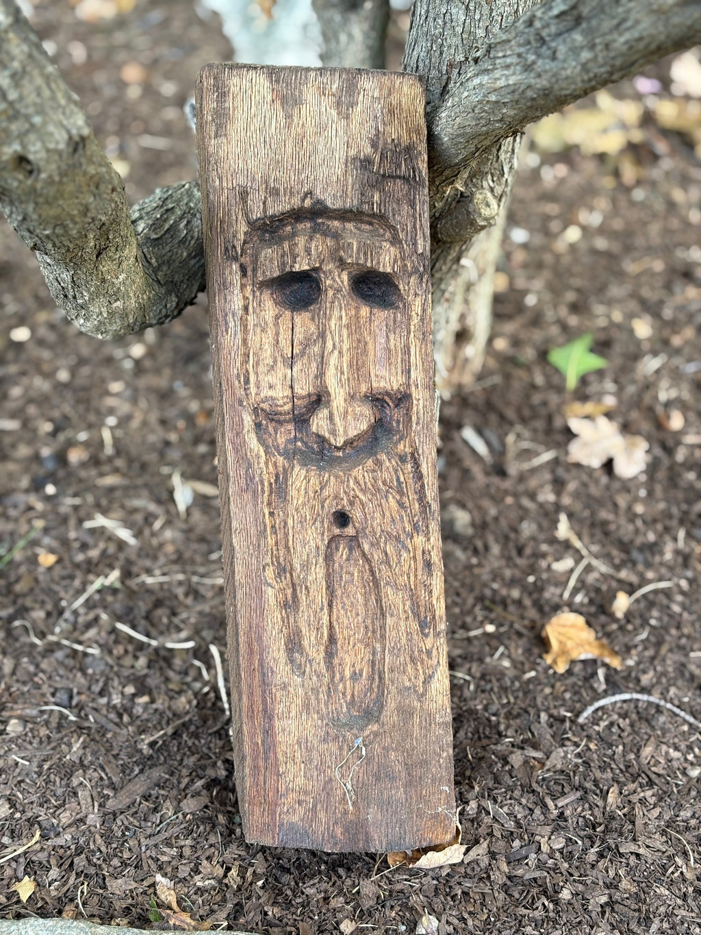 Old man of the garden