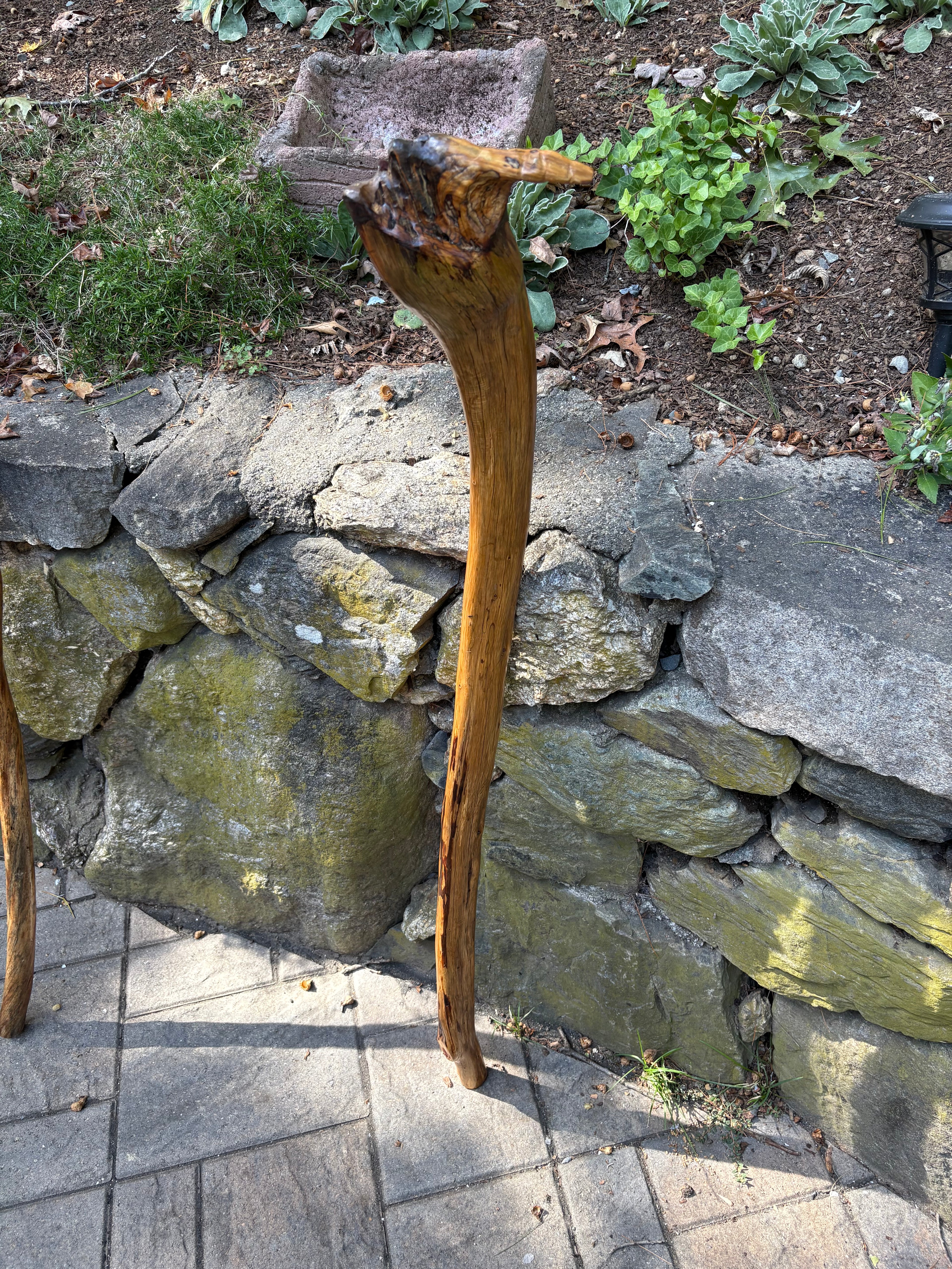 The Thumper walking stick