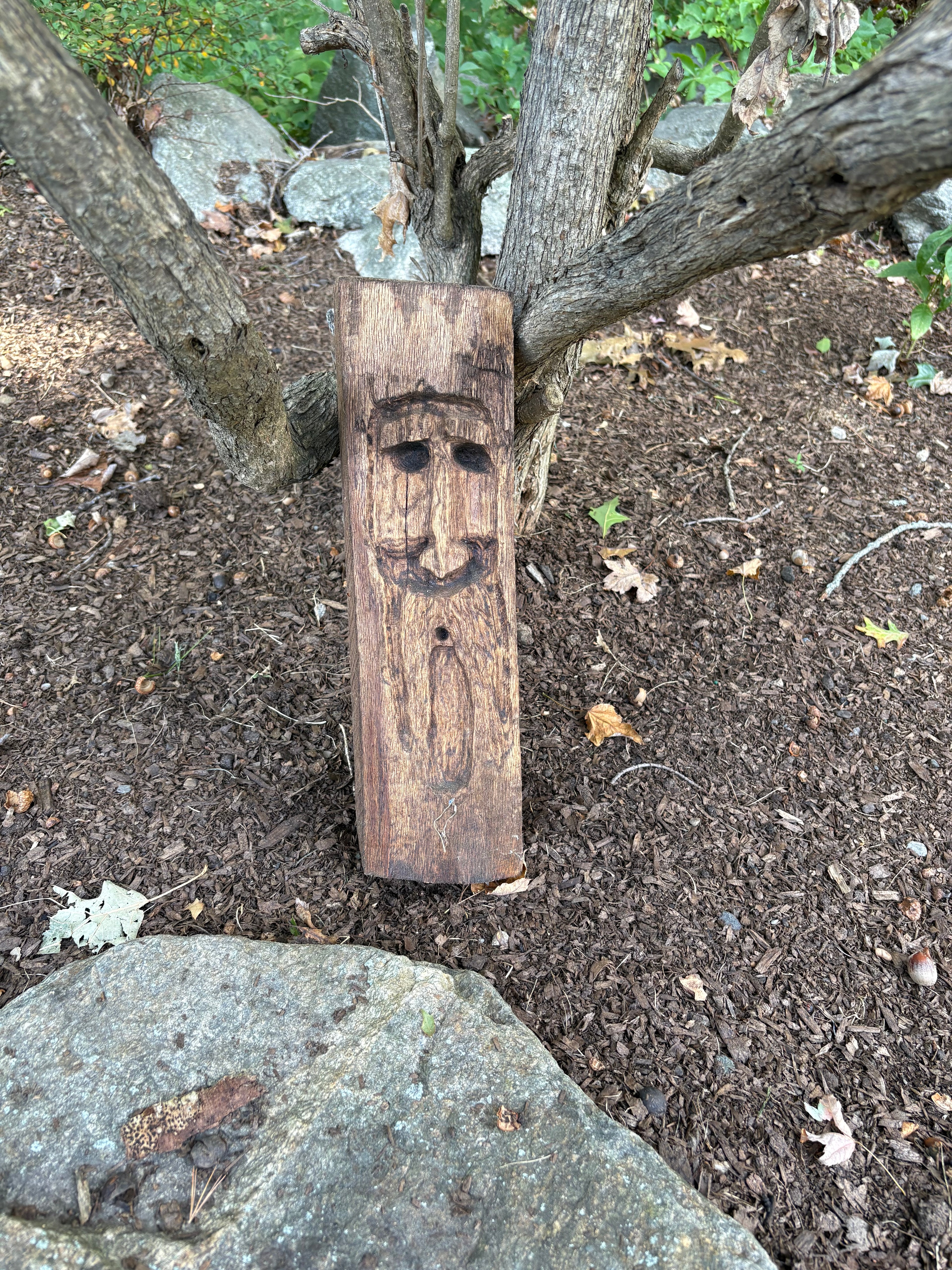 Old man of the garden