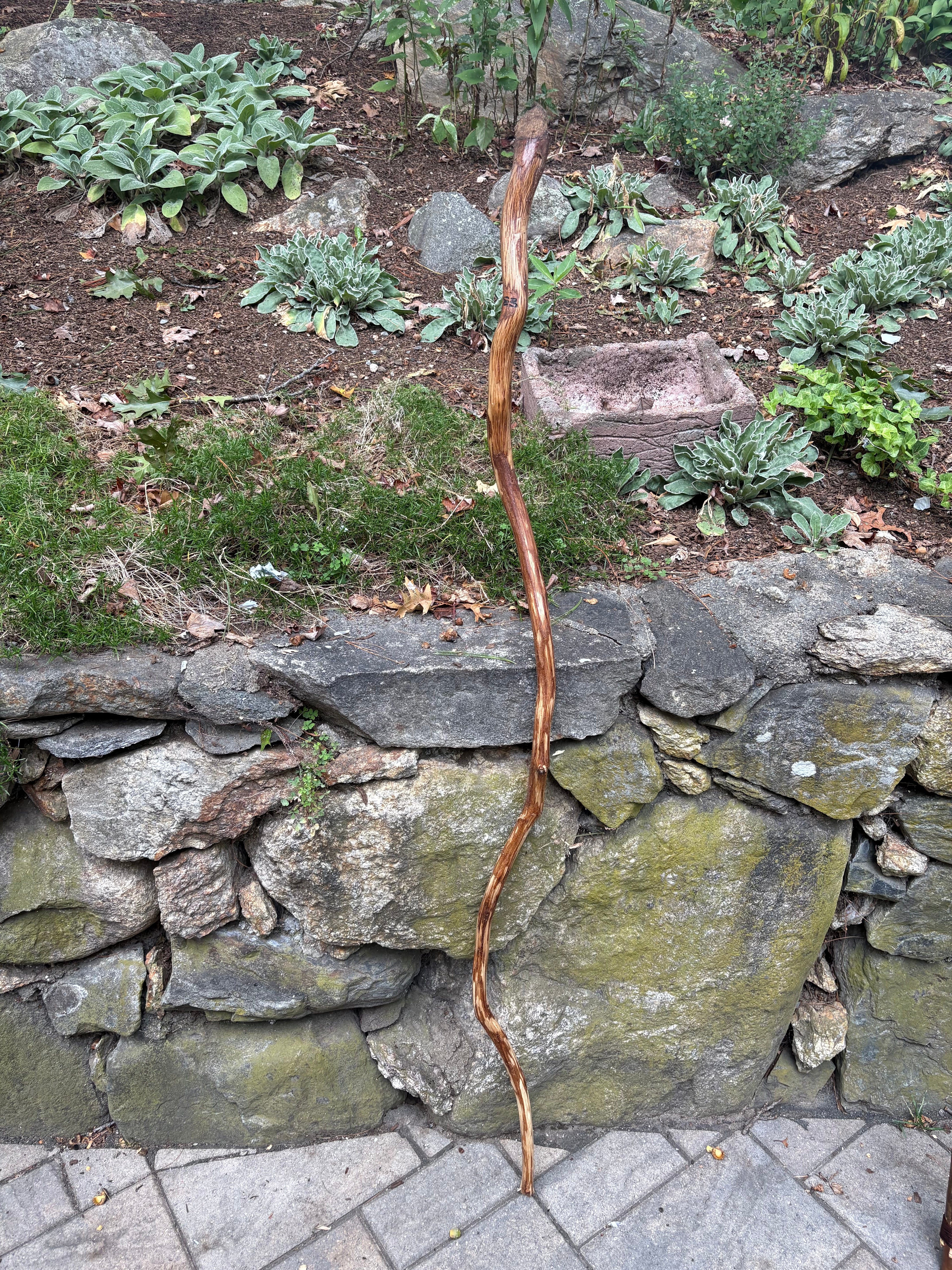 The wizards replacement Walking stick