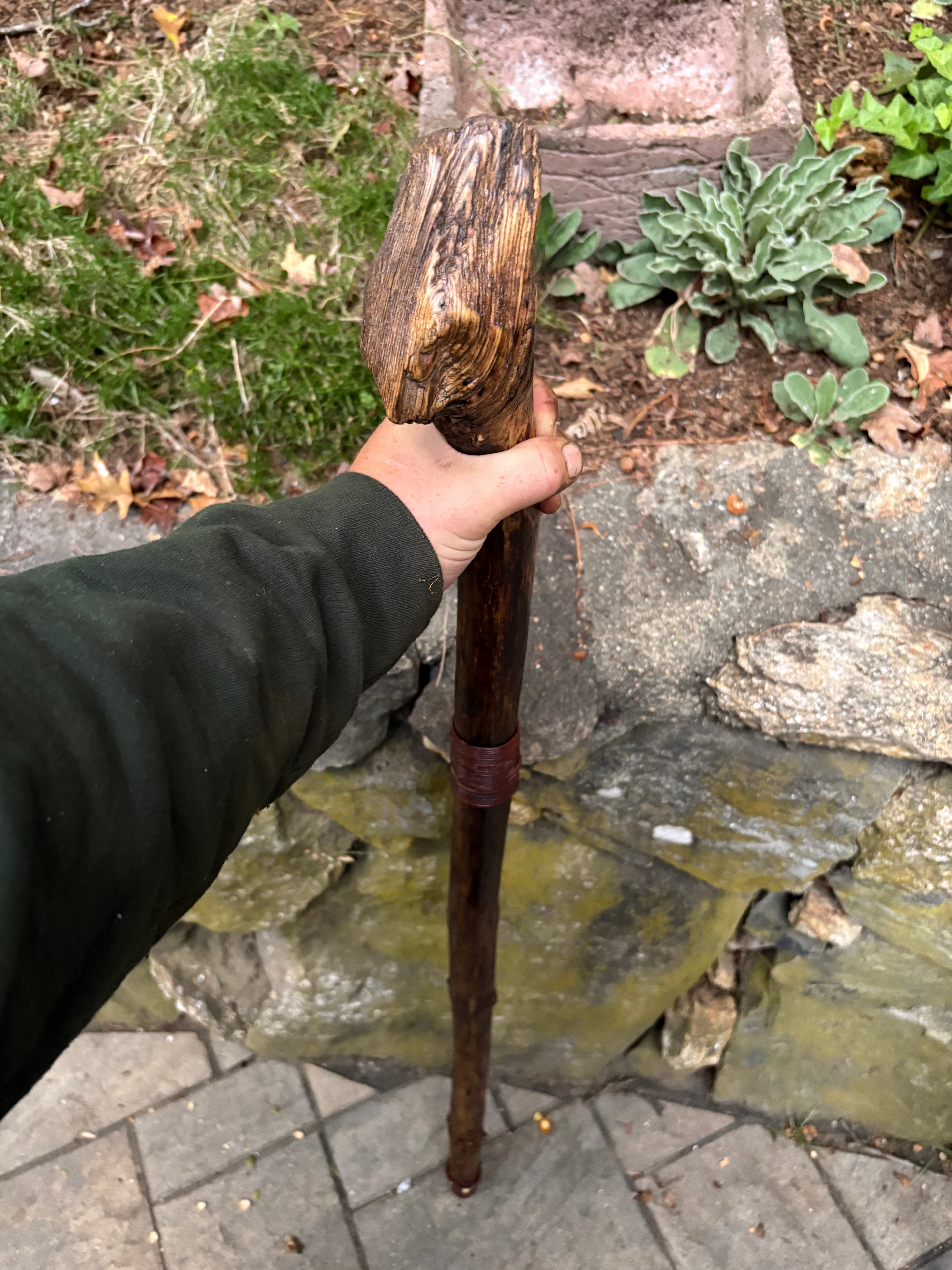 The Olivia Walking stick